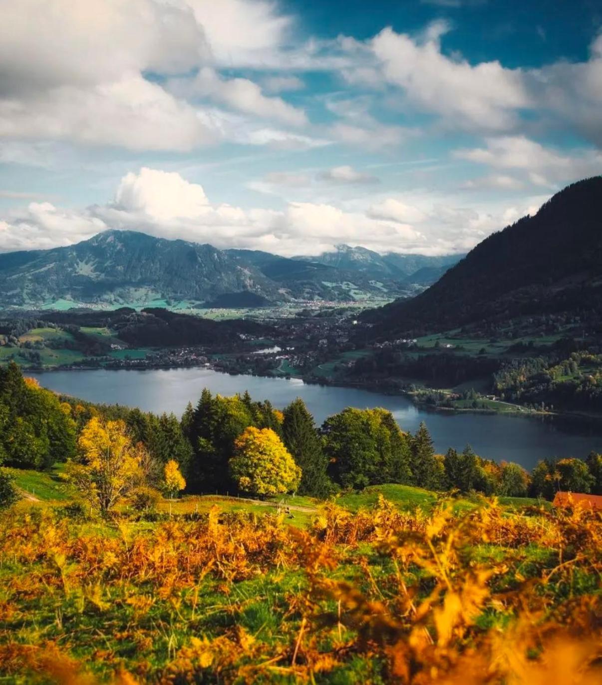 Ferienwohnung Immenstadt Im Allgaeu- Ruhig, Gemuetlich & 5Min Zum Alpsee Immenstadt im Allgäu Exterior foto