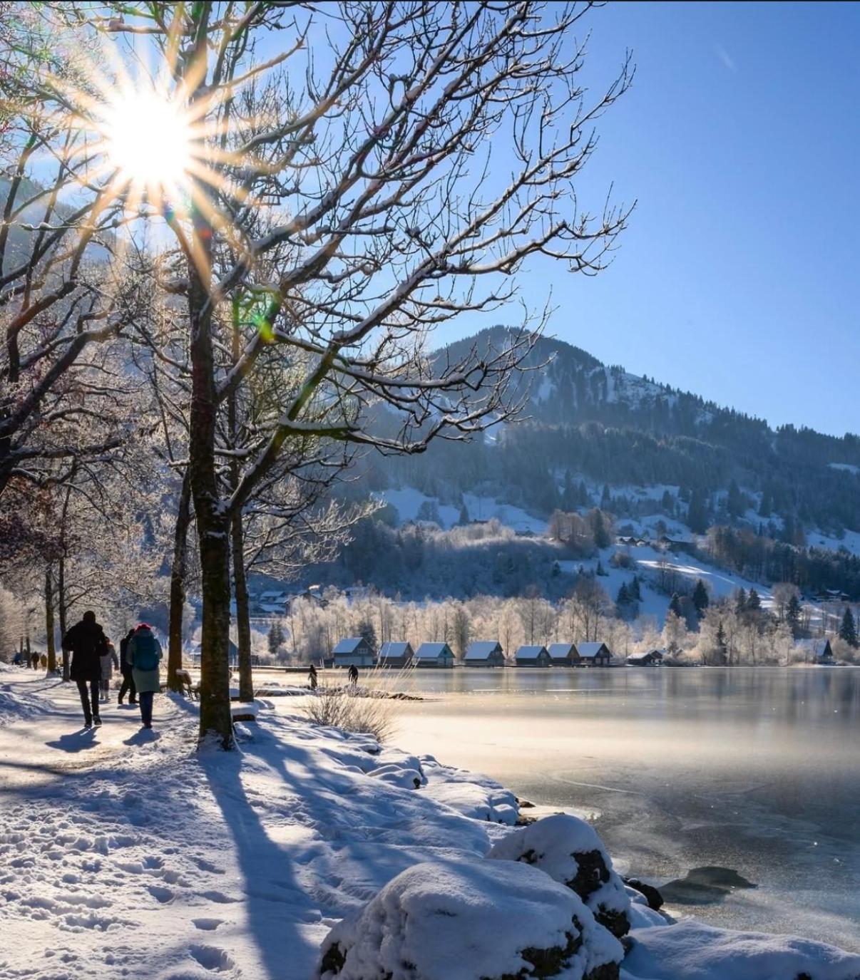 Ferienwohnung Immenstadt Im Allgaeu- Ruhig, Gemuetlich & 5Min Zum Alpsee Immenstadt im Allgäu Exterior foto